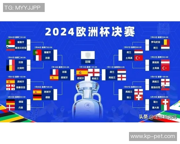 欧洲杯赛事经济效益及社会影响
