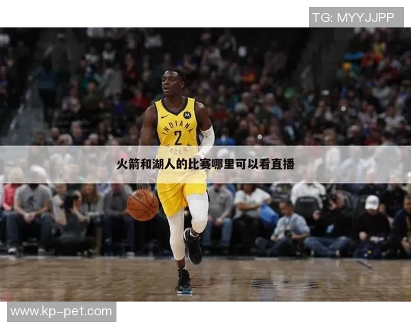 火箭冲击金球奖？数据全面对比分析