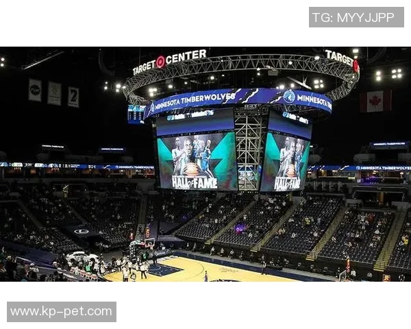 球队老板背景揭秘